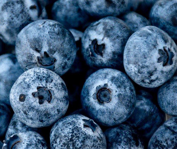Nutrition